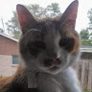 Meet your Posher, Dalton